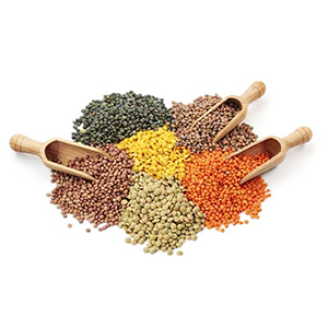 Mix Dal