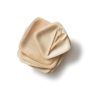 Disposable Plates & Utensils