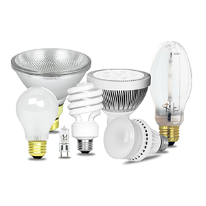 Bulbs